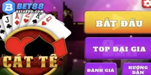 Bài catte Bet88