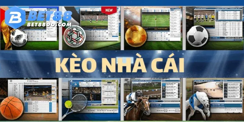 Học hỏi những bí kíp để trở thành cao thủ chơi BET88 kèo nhà cái