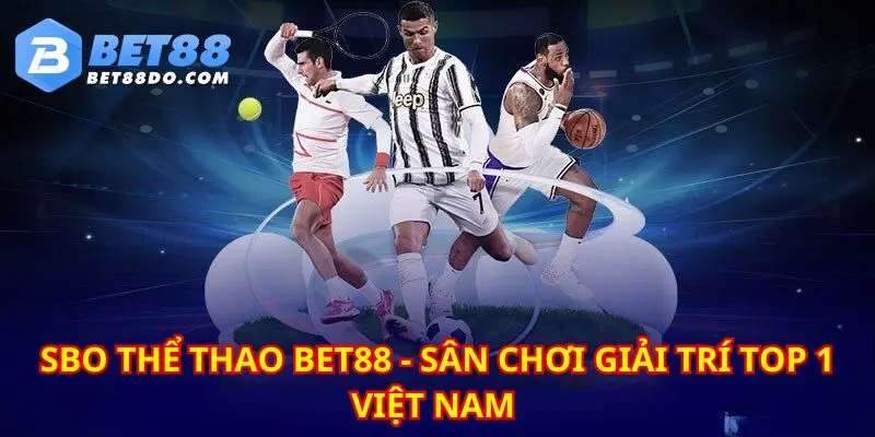 Sảnh giải trí SBO thể thao là địa chỉ giải trí rất đáng tin cậy hiện nay